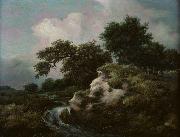 Jacob Isaacksz. van Ruisdael Landscape with Dune and Small Waterfall oil
